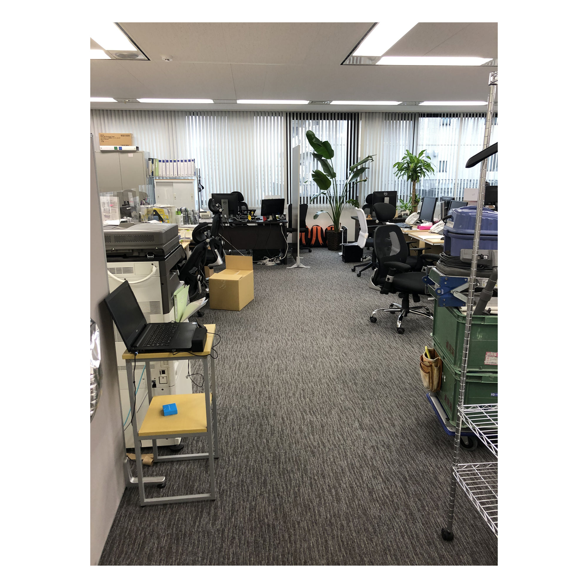 ポップアップ画像